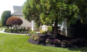 Landscape pic - Conley