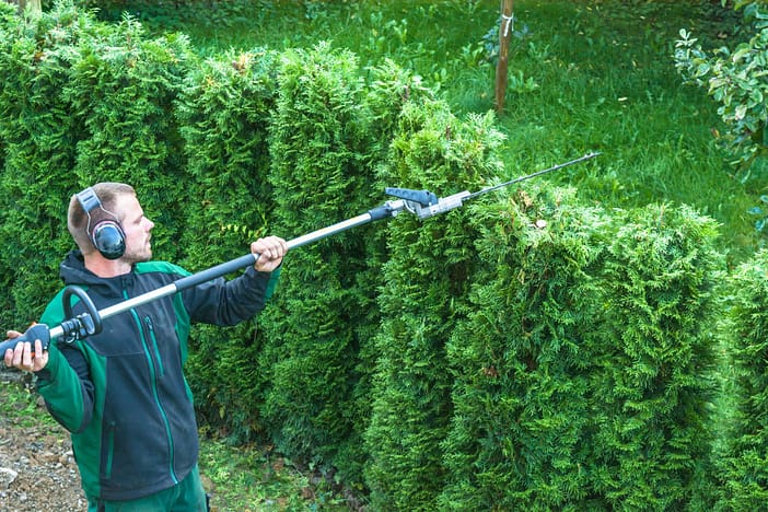 ottos-landscaping-Shrub-trimming-Maintenance