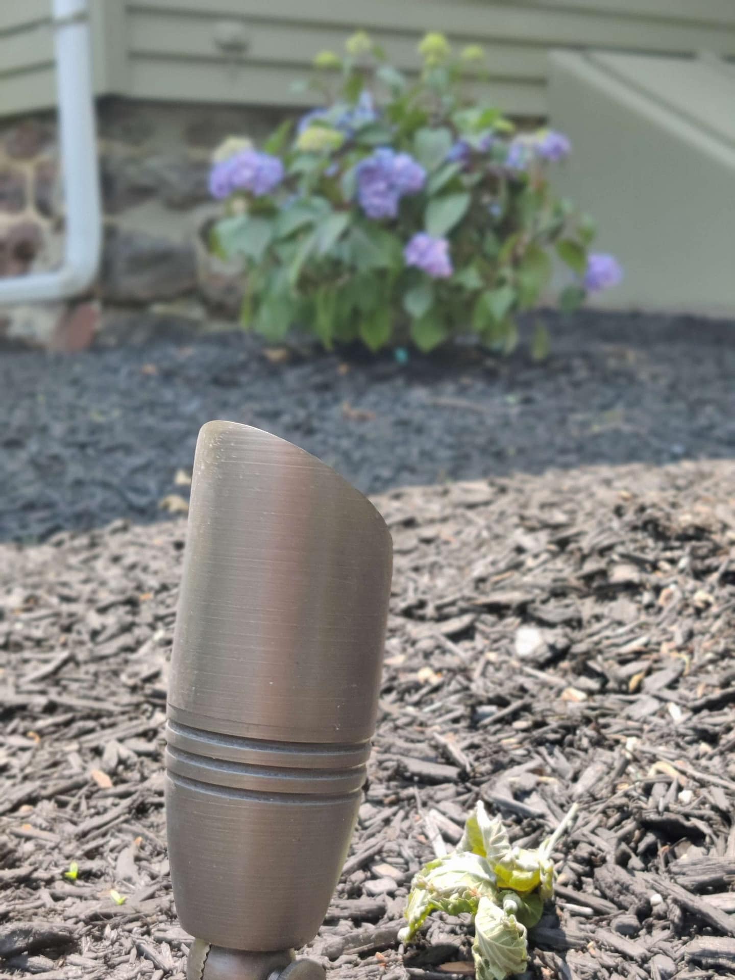 IMG_20230606_141559_Bokeh