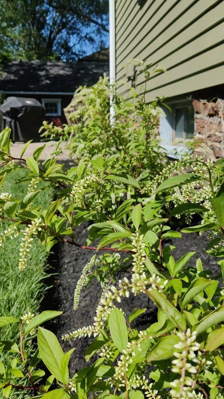 ottos-landscaping-service-23